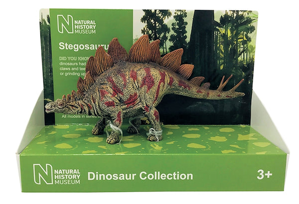 Stegosaurus 1:40 scale model London Natural History Museum