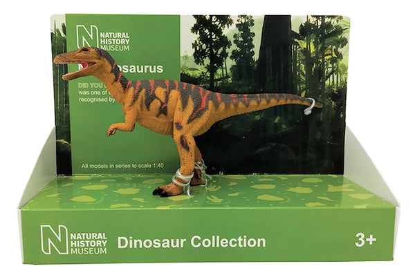 Megalosaurus 1:40 scale model London Natural History Museum