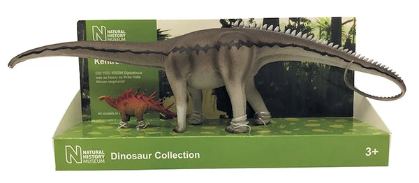 Diplodocus and Centrosaurus 1:40 scale models London Natural History Museum - Arizona Hobbies LLC