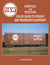 Norfolk & Western Color Guide to Freight and Passenger Equipment - Arizona Hobbies LLC