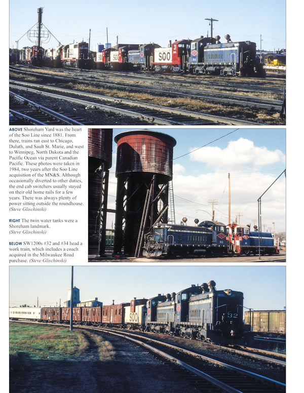 Minneapolis Northfield and Southern Railway In Color