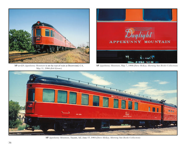 Observation Car Color Portfolio Volume 5: SAL-YW