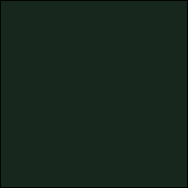 Burlington Northern Santa Fe GREEN 2 oz. bottle (Airbrush-ready) TCP-062-2