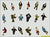 25 piece painted HO figures by JM Hobby Supply for model railroad HO scale structures and details