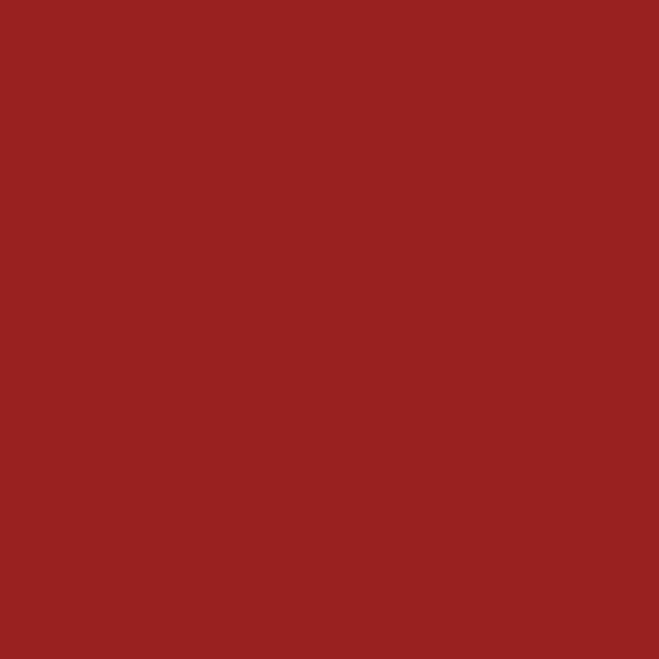 Baltimore & Ohio FREIGHT CAR BROWN 2-oz bottle (Air-brush) Tru-Color Paint SPECIAL ORDER ONLY-with color swatch-Arizona Hobbies