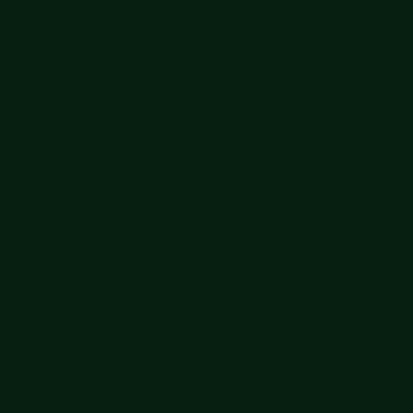 Central New Jersey DEEP SEA GREEN 2-oz bottle (Air-brush) Tru-Color Paint SPECIAL ORDER ONLY-with color swatch-Arizona Hobbies