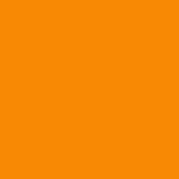 Chicago & Eastern Illinois LATE ORANGE 2-oz bottle (Air-brush) Tru-Color Paint SPECIAL ORDER ONLY-with color swatch-Arizona Hobbies