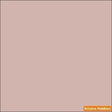 FLESH 2-oz bottle (Paint brush) Tru-Color Paint SPECIAL ORDER ONLY-with color swatch-Arizona Hobbies