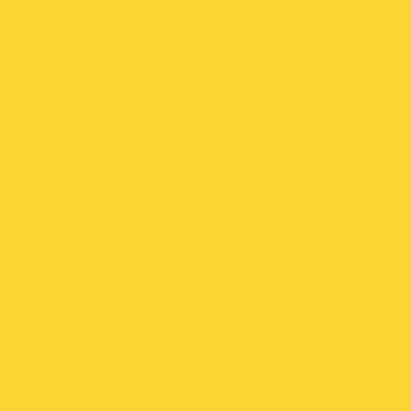 Florida East Coast NEW SCHEME YELLOW 2-oz bottle (Air-brush) Tru-Color Paint SPECIAL ORDER ONLY-with color swatch-Arizona Hobbies