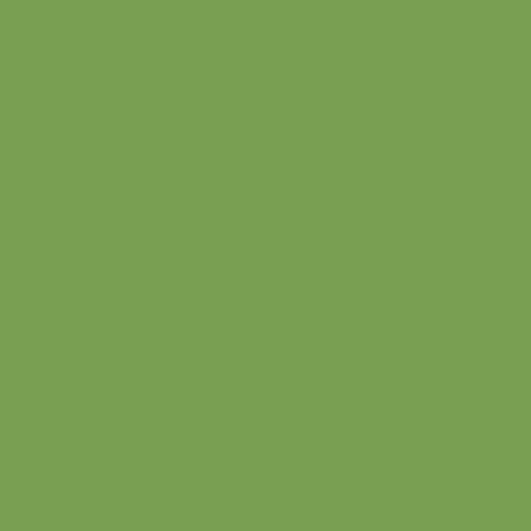 GO Transit LIGHT GREEN 2-oz bottle (Air-brush) Tru-Color Paint SPECIAL ORDER ONLY-with color swatch-Arizona Hobbies