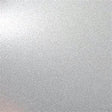 High-Gloss BRIGHT SILVER 2-oz bottle (Air-brush) Tru-Color Paint SPECIAL ORDER ONLY-with color swatch-Arizona Hobbies