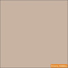 IJN DECK TAN 2 oz. bottle (Airbrush-ready) tcp-1112-2