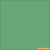 IJN CAMOUFLAGE GREEN TYPE 21 A 2 oz. bottle (Airbrush-ready) tcp-1113-2