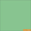 IJN CAMOUFLAGE GREEN TYPE 22 A 2 oz. bottle (Airbrush-ready) tcp-1114-2