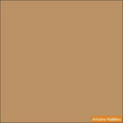 Israel Defense Forces BROWN FS-30219 2-oz bottle (Air-brush) Tru-Color Paint SPECIAL ORDER ONLY-with color swatch-Arizona Hobbies