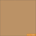 Israel Defense Forces BROWN FS-30219 2-oz bottle (Air-brush) Tru-Color Paint SPECIAL ORDER ONLY-with color swatch-Arizona Hobbies