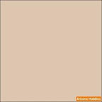 Israel Defense Forces MIDDLESTONE FS-33531 2-oz bottle (Air-brush) Tru-Color Paint SPECIAL ORDER ONLY-with color swatch-Arizona Hobbies