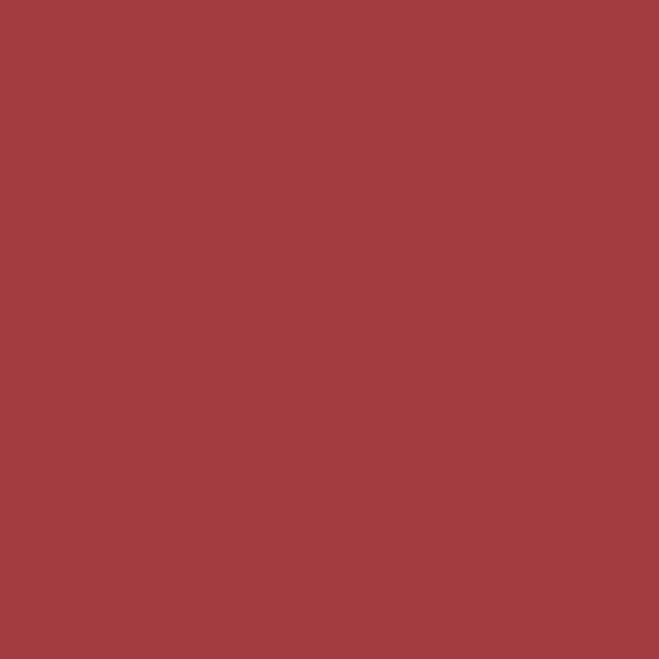 Matte BRICK AGED 2-oz bottle (Air-brush) Tru-Color Paint SPECIAL ORDER ONLY-with color swatch-Arizona Hobbies