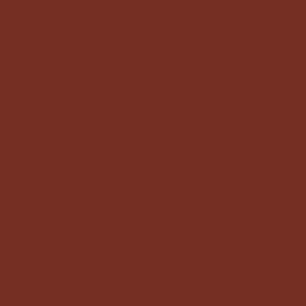 Matte BRICK BROWN-RED 2-oz bottle (Air-brush) Tru-Color Paint SPECIAL ORDER ONLY-with color swatch-Arizona Hobbies