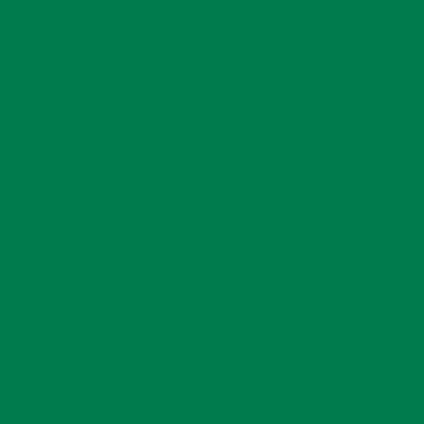 Matte EXTERIOR WALL MEXICAN JADE 2-oz bottle (Air-brush) Tru-Color Paint SPECIAL ORDER ONLY-with color swatch-Arizona Hobbies
