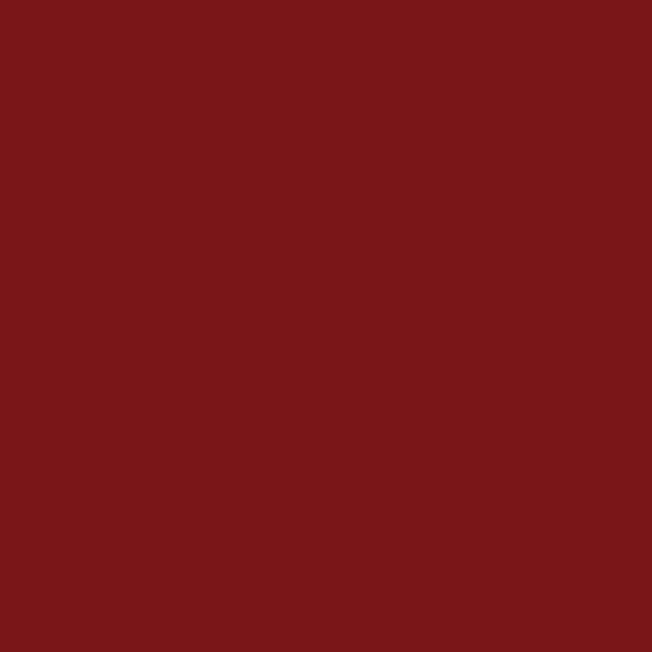 Matte LIGHT RUST 2-oz bottle (Air-brush) Tru-Color Paint SPECIAL ORDER ONLY-with color swatch-Arizona Hobbies