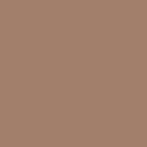 Matte STUCCO DARK TAN 2-oz bottle (Air-brush) Tru-Color Paint SPECIAL ORDER ONLY-with color swatch-Arizona Hobbies