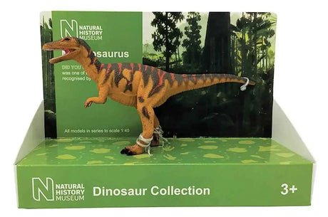 Megalosaurus 1:40 scale model London Natural History Museum-Models and Kits/Dinosaur-Arizona Hobbies