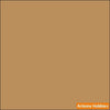 Metallic AMBER GOLD 1 oz. bottle (Airbrush-ready) TCP-738-1