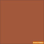 Metallic COPPER 2-oz bottle (Air-brush) Tru-Color Paint SPECIAL ORDER ONLY-with color swatch-Arizona Hobbies
