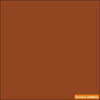 Metallic MOLTEN ORANGE Tintcoat 2-oz bottle (Air-brush) Tru-Color Paint SPECIAL ORDER ONLY-with color swatch-Arizona Hobbies