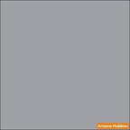 Metallic TIN 2-oz bottle (Air-brush) Tru-Color Paint SPECIAL ORDER ONLY-with color swatch-Arizona Hobbies