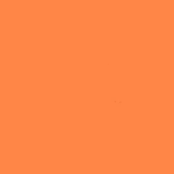 Milwaukee Road CABOOSE ORANGE 2-oz bottle (Air-brush) Tru-Color Paint SPECIAL ORDER ONLY-with color swatch-Arizona Hobbies