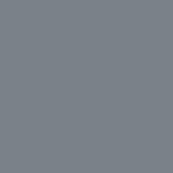 Northern Pacific TRANSPORT GRAY 2-oz bottle (Air-brush) Tru-Color Paint SPECIAL ORDER ONLY-with color swatch-Arizona Hobbies