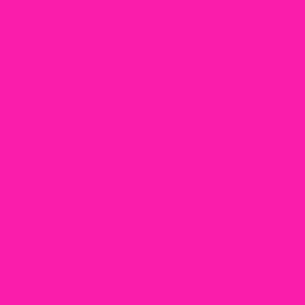 ONE Container PINK 2-oz bottle (Air-brush) Tru-Color Paint SPECIAL ORDER ONLY-with color swatch-Arizona Hobbies