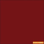 Poly BRILLIANT RED 2-oz bottle (Air-brush) Tru-Color Paint SPECIAL ORDER ONLY-with color swatch-Arizona Hobbies
