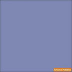 Poly GRAPHITE NIGHTMIST 2-oz bottle (Air-brush) Tru-Color Paint SPECIAL ORDER ONLY-with color swatch-Arizona Hobbies