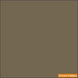 Poly SANDALWOOD SPICE 2-oz bottle (Air-brush) Tru-Color Paint SPECIAL ORDER ONLY-with color swatch-Arizona Hobbies