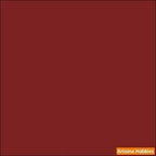 Poly WILD STRAWBERRY 2-oz bottle (Air-brush) Tru-Color Paint SPECIAL ORDER ONLY-with color swatch-Arizona Hobbies