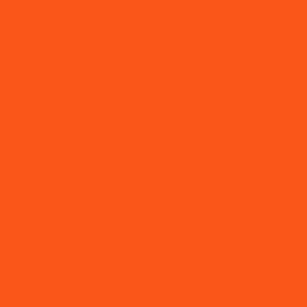 SAFETY ORANGE 2-oz bottle (Air-brush) Tru-Color Paint SPECIAL ORDER ONLY-with color swatch-Arizona Hobbies