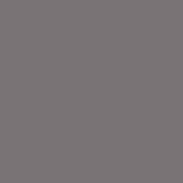 Santa Fe TARPAN GRAY 2-oz bottle (Air-brush) Tru-Color Paint SPECIAL ORDER ONLY-with color swatch-Arizona Hobbies