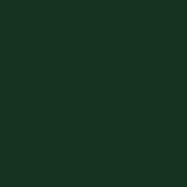 Seaboard Air Line DARK GREEN 2-oz bottle (Air-brush) Tru-Color Paint SPECIAL ORDER ONLY-with color swatch-Arizona Hobbies