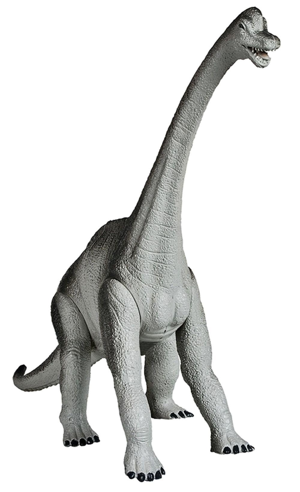 Brachiosaurus-16-inches-with-moveable-joints-legs-Lords-of-the-Earth