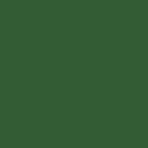 Canadian Pacific ACTION GREEN 2 oz bottle (Airbrush-ready) Tru-Color Paint SPECIAL ORDER ONLY - Arizona Hobbies LLC