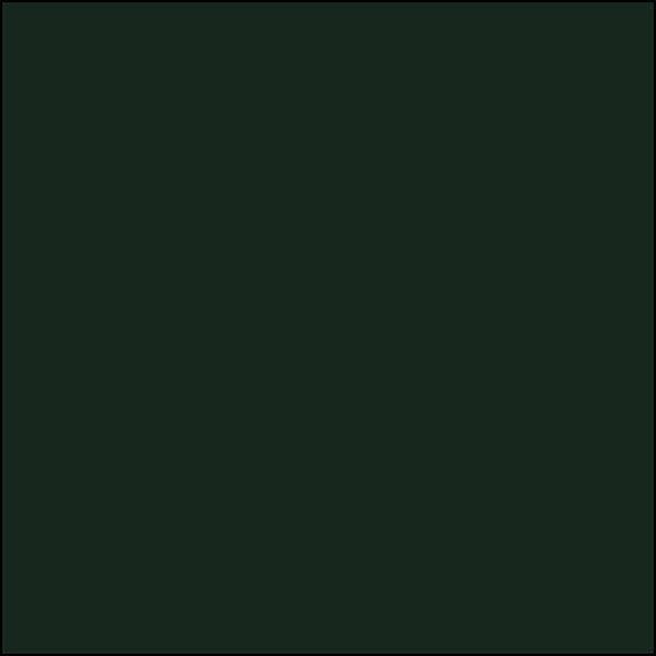 Burlington Northern Santa Fe GREEN 2 oz bottle (Airbrush-ready) Tru-Color Paint SPECIAL ORDER ONLY - Arizona Hobbies LLC