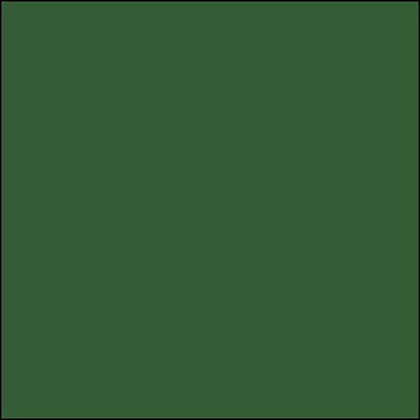 Burlington Northern CASCADE GREEN 2 oz bottle (Airbrush-ready) Tru-Color Paint SPECIAL ORDER ONLY - Arizona Hobbies LLC
