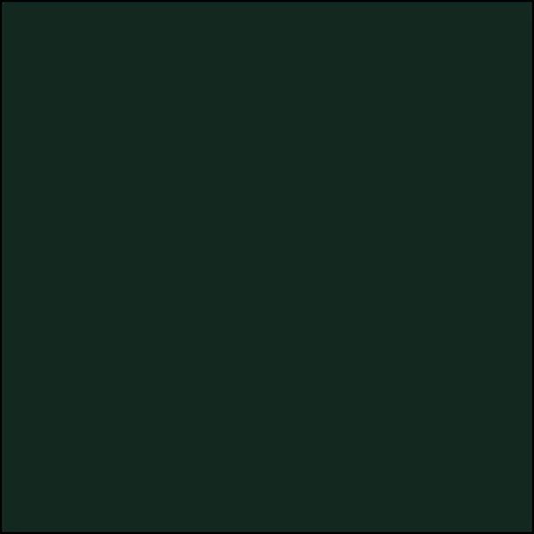 BC Rail DARK GREEN 2 oz bottle (Airbrush-ready) Tru-Color Paint SPECIAL ORDER ONLY - Arizona Hobbies LLC
