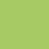 Matte ROOF LIME GREEN 1 oz. bottle (Airbrush-ready) TCP-445-1