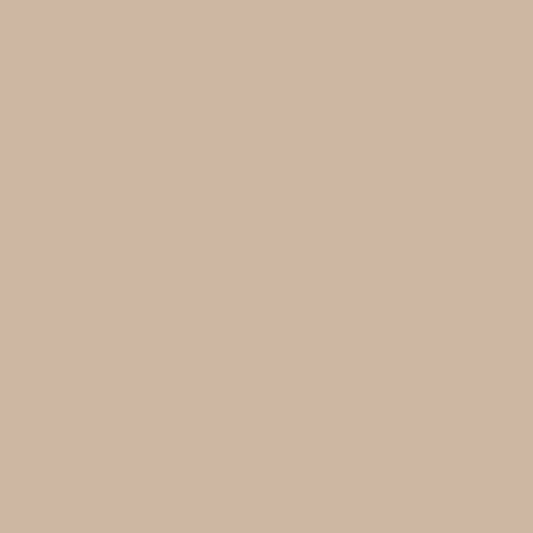 Matte DESERT SAND 1 oz. bottle (Airbrush-ready) TCP-446-1