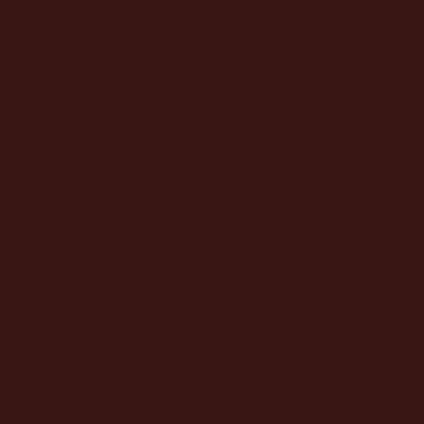 Flat DEEP BROWN 2 oz. bottle (Paint brush-ready) TCP-831-2