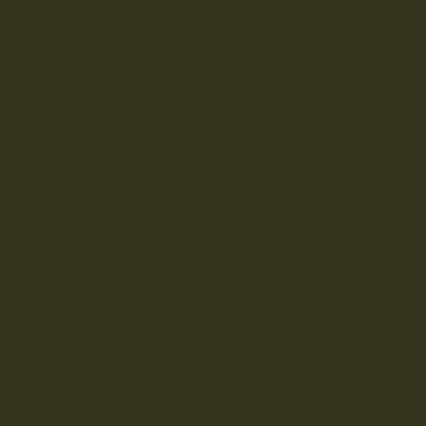 Flat ARMY GREEN 2 oz. bottle (Paint brush-ready) TCP-849-2